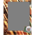 Frame 8x10 V