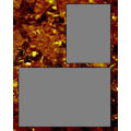 8x10 Memory Mate